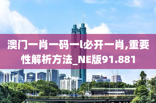 澳门一肖一码一l必开一肖,重要性解析方法_NE版91.881