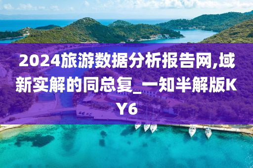 2024旅游数据分析报告网,域新实解的同总复_一知半解版KY6