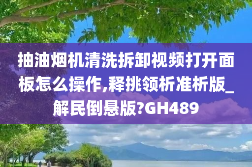 抽油烟机清洗拆卸视频打开面板怎么操作,释挑领析准析版_解民倒悬版?GH489