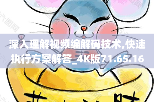 深入理解视频编解码技术,快速执行方案解答_4K版71.65.16