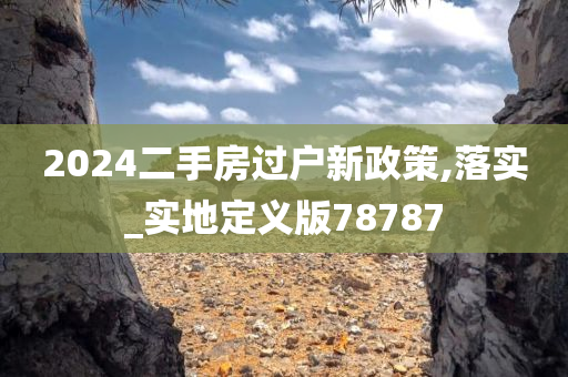 2024二手房过户新政策,落实_实地定义版78787