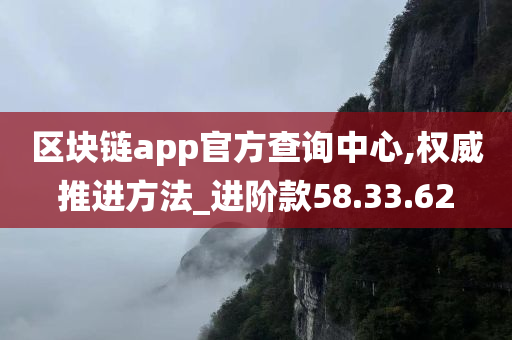 区块链app官方查询中心,权威推进方法_进阶款58.33.62