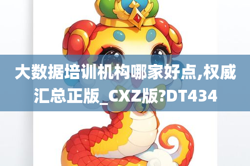 大数据培训机构哪家好点,权威汇总正版_CXZ版?DT434