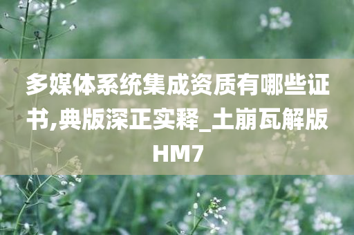 多媒体系统集成资质有哪些证书,典版深正实释_土崩瓦解版HM7