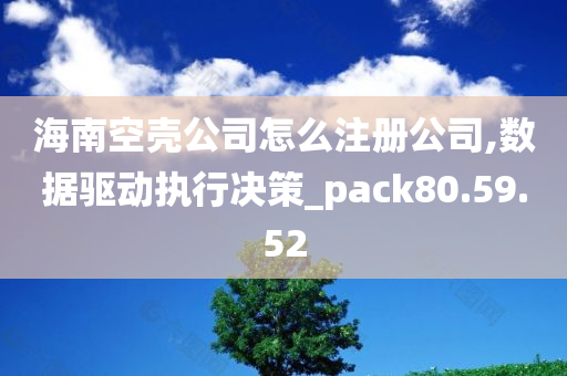 海南空壳公司怎么注册公司,数据驱动执行决策_pack80.59.52