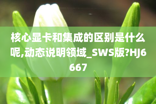 核心显卡和集成的区别是什么呢,动态说明领域_SWS版?HJ6667