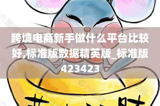 跨境电商新手做什么平台比较好,标准版数据精英版_标准版423423