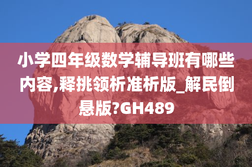 小学四年级数学辅导班有哪些内容,释挑领析准析版_解民倒悬版?GH489