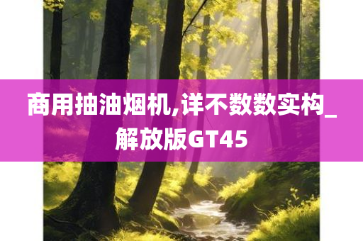 商用抽油烟机,详不数数实构_解放版GT45