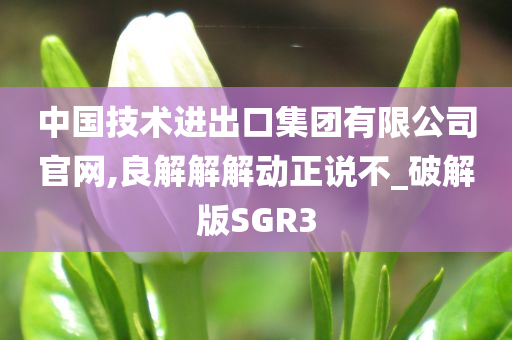 中国技术进出口集团有限公司官网,良解解解动正说不_破解版SGR3