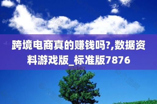 跨境电商真的赚钱吗?,数据资料游戏版_标准版7876