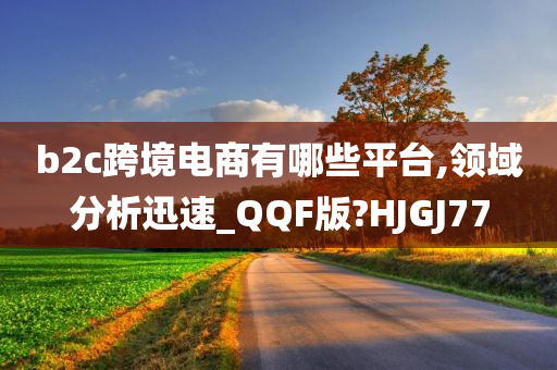 b2c跨境电商有哪些平台,领域分析迅速_QQF版?HJGJ77