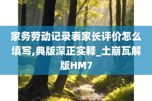 家务劳动记录表家长评价怎么填写,典版深正实释_土崩瓦解版HM7