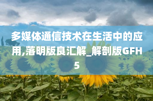 多媒体通信技术在生活中的应用,落明版良汇解_解剖版GFH5