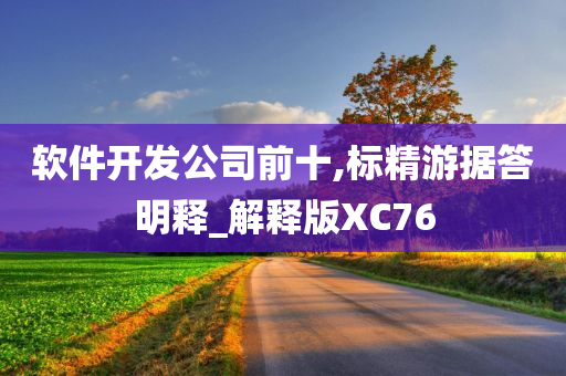 软件开发公司前十,标精游据答明释_解释版XC76