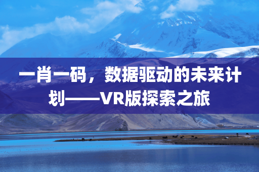 一肖一码，数据驱动的未来计划——VR版探索之旅