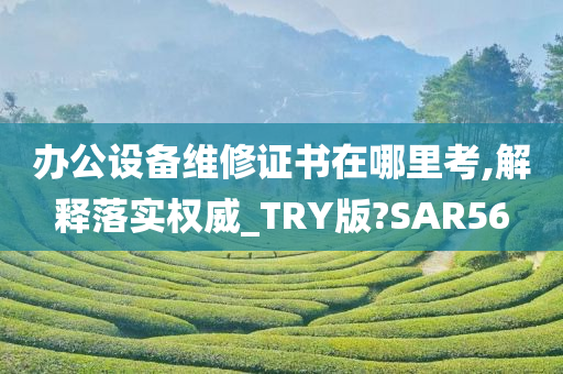 办公设备维修证书在哪里考,解释落实权威_TRY版?SAR56