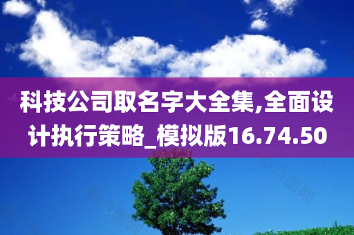 科技公司取名字大全集,全面设计执行策略_模拟版16.74.50