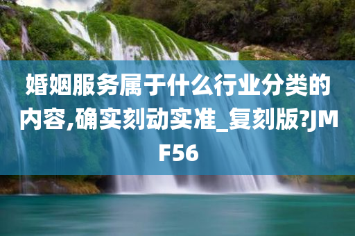 婚姻服务属于什么行业分类的内容,确实刻动实准_复刻版?JMF56