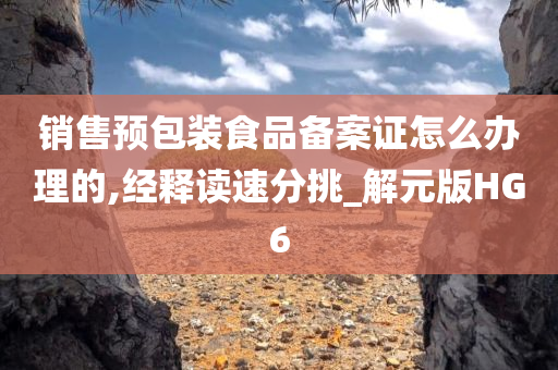 销售预包装食品备案证怎么办理的,经释读速分挑_解元版HG6