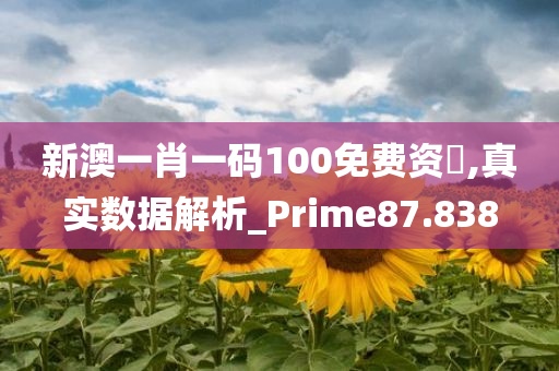 新澳一肖一码100免费资枓,真实数据解析_Prime87.838