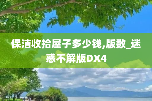 保洁收拾屋子多少钱,版数_迷惑不解版DX4