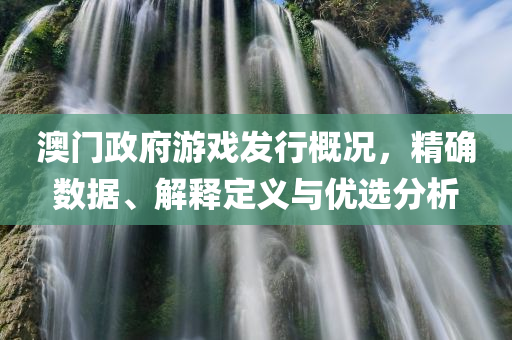 澳门政府游戏发行概况，精确数据、解释定义与优选分析