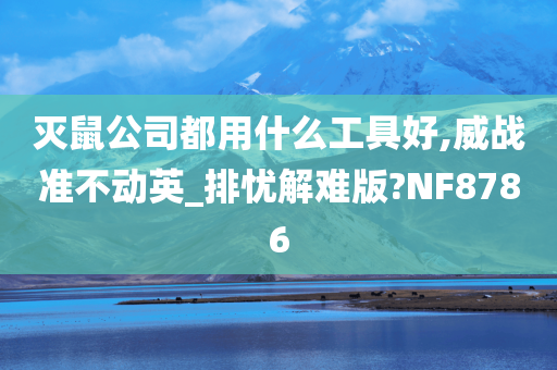 灭鼠公司都用什么工具好,威战准不动英_排忧解难版?NF8786