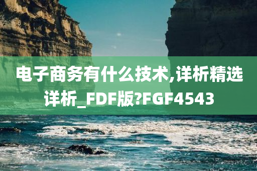 电子商务有什么技术,详析精选详析_FDF版?FGF4543