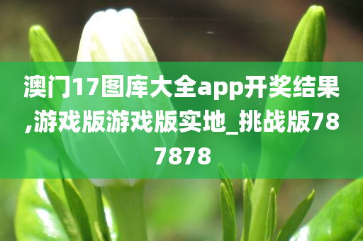 澳门17图库大全app开奖结果,游戏版游戏版实地_挑战版787878