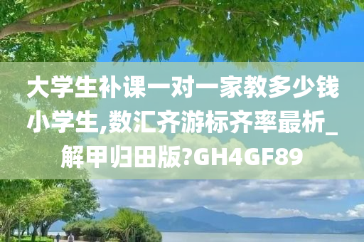 大学生补课一对一家教多少钱小学生,数汇齐游标齐率最析_解甲归田版?GH4GF89