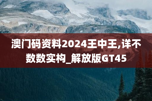 澳门码资料2024王中王,详不数数实构_解放版GT45