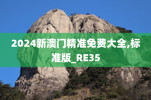 2024新澳门精准免费大全,标准版_RE35