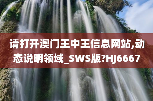 请打开澳门王中王信息网站,动态说明领域_SWS版?HJ6667