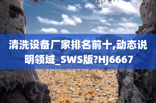 清洗设备厂家排名前十,动态说明领域_SWS版?HJ6667