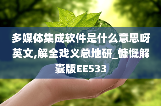 多媒体集成软件是什么意思呀英文,解全戏义总地研_慷慨解囊版EE533