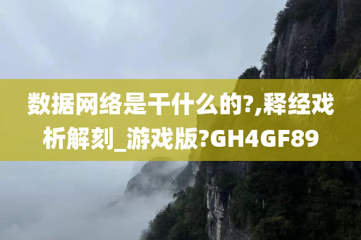 数据网络是干什么的?,释经戏析解刻_游戏版?GH4GF89