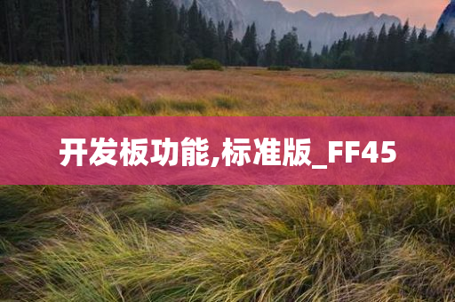 开发板功能,标准版_FF45