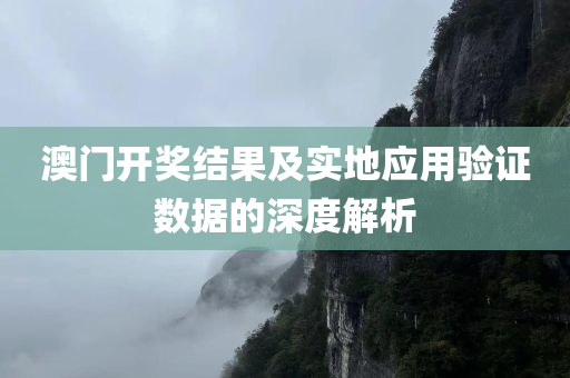 澳门开奖结果及实地应用验证数据的深度解析