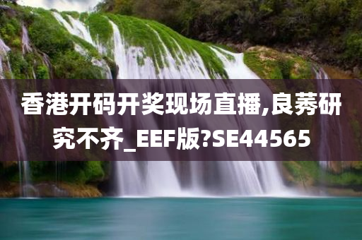 香港开码开奖现场直播,良莠研究不齐_EEF版?SE44565