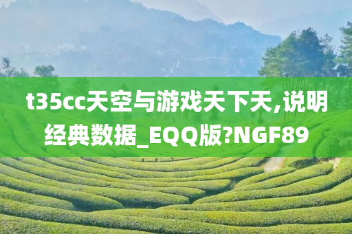 t35cc天空与游戏天下天,说明经典数据_EQQ版?NGF89