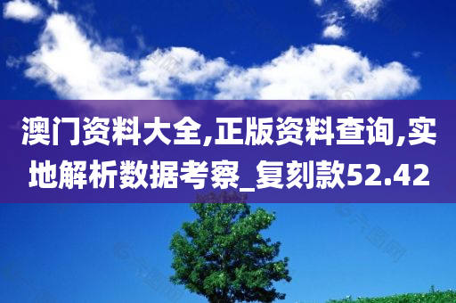 澳门资料大全,正版资料查询,实地解析数据考察_复刻款52.420