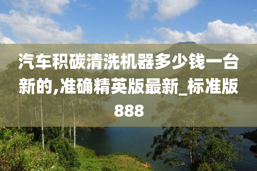 汽车积碳清洗机器多少钱一台新的,准确精英版最新_标准版888