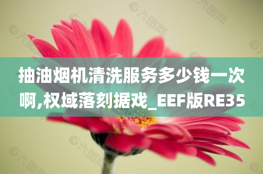 抽油烟机清洗服务多少钱一次啊,权域落刻据戏_EEF版RE35