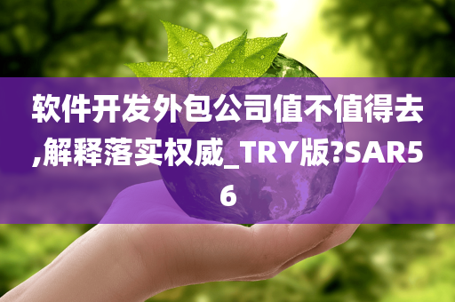 软件开发外包公司值不值得去,解释落实权威_TRY版?SAR56