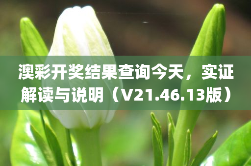 澳彩开奖结果查询今天，实证解读与说明（V21.46.13版）