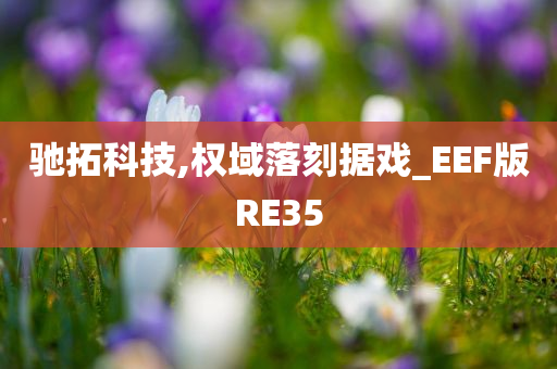 驰拓科技,权域落刻据戏_EEF版RE35