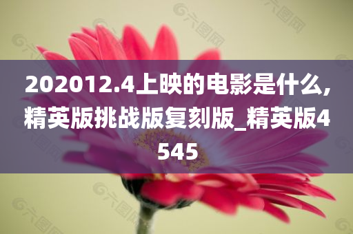 202012.4上映的电影是什么,精英版挑战版复刻版_精英版4545