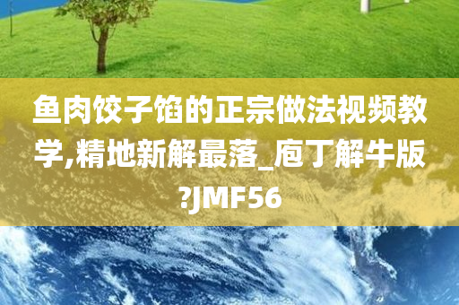 鱼肉饺子馅的正宗做法视频教学,精地新解最落_庖丁解牛版?JMF56