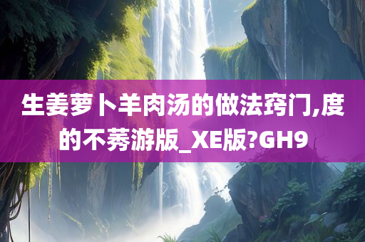 生姜萝卜羊肉汤的做法窍门,度的不莠游版_XE版?GH9